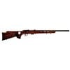 SAVAGE ARMS 93R17 RFL 17 HMR 21IN 5+1 BLU SAV96250