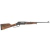 HENRY REPEATING ARMS HENRY LONG RANGER LEVER ACTION OPEN SIGHTS .243 WIN