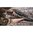 EVOLUTION OUTDOOR, LLC HILL COUNTRY II 48" RIFLE CASE GREEN/WALNUT