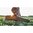 EVOLUTION OUTDOOR, LLC HILL COUNTRY II 54" RIFLE CASE GREEN/WALNUT