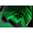 VIRIDIAN CTL CUSTOM CTL WEAPON LIGHT FOR WALTHER PDP/WMP W/SAFECHARGE
