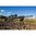 NIGHTFORCE SHV 4-14X50MM FFP MOAR RETICLE BLACK